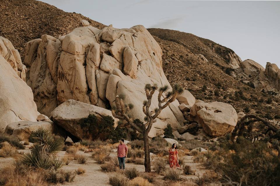 Joshua Tree Engagement