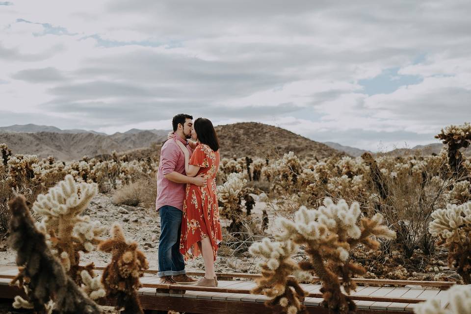 Joy + Hugo in Joshua Tree