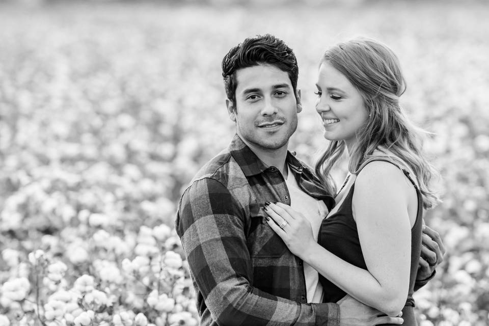 Engagement Photography