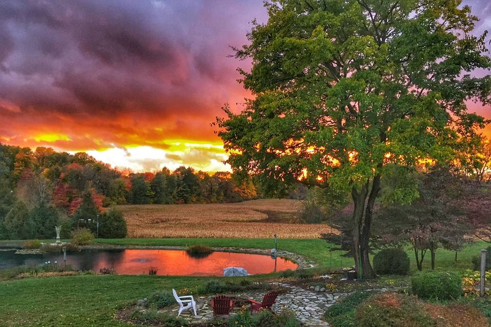 Sunset Over the Pond