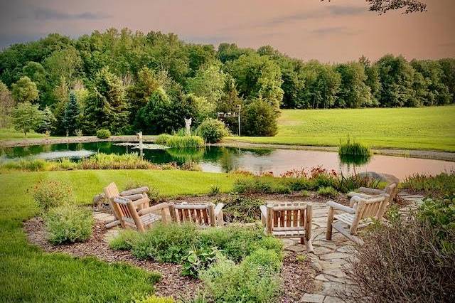 Overlooking Pond