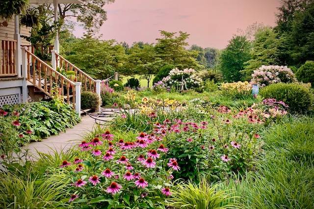 Lush Garden Paths