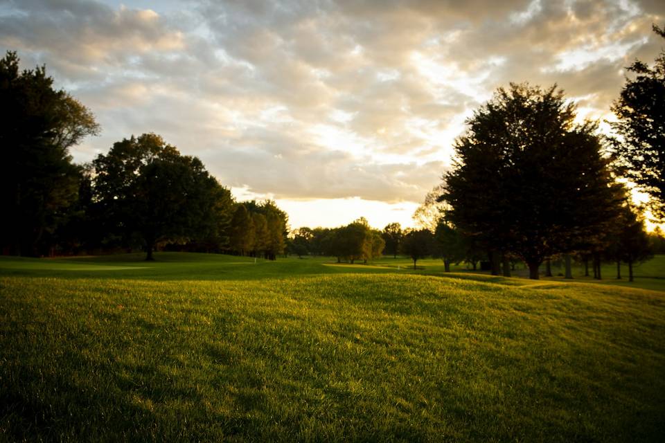 Grounds