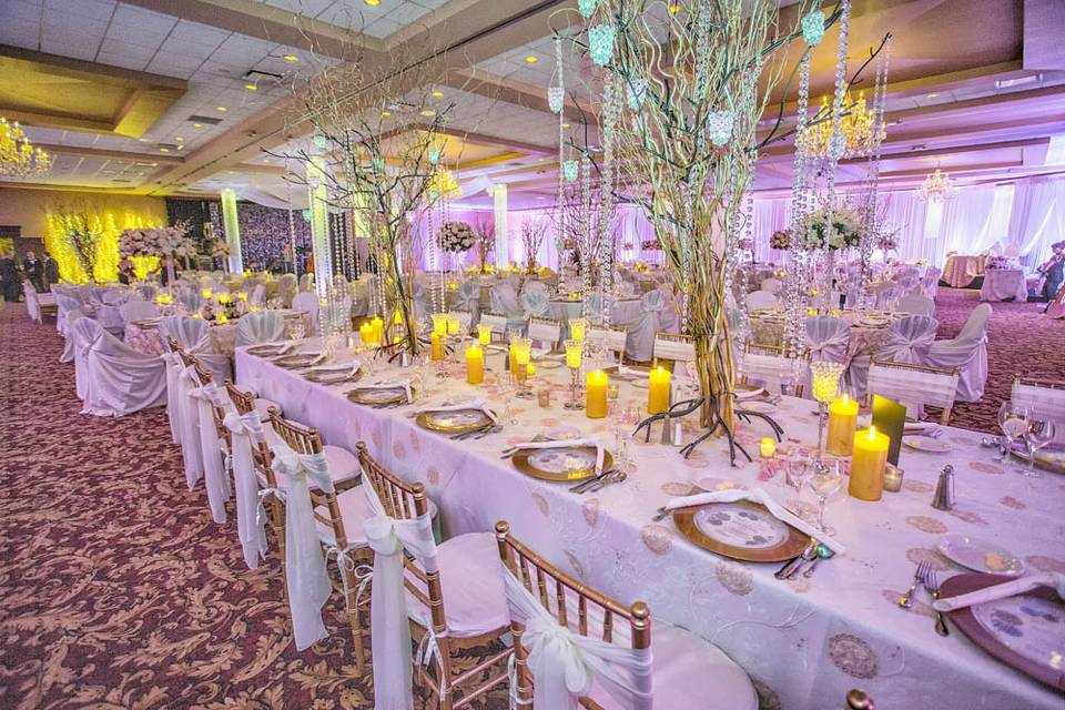 Linen Hero by Chair Covers & Linens