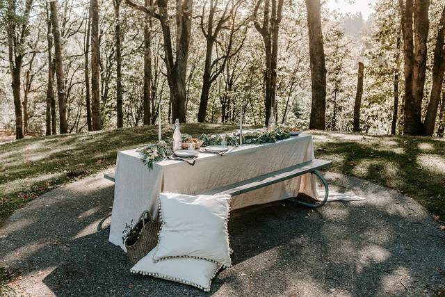Picnic Shoot