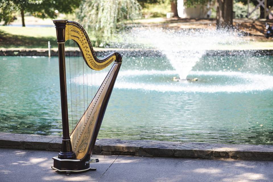 Harp alone