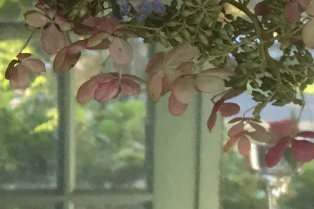 Floral arbors