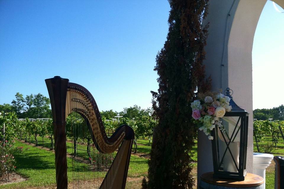 Hope Cowan, harpist