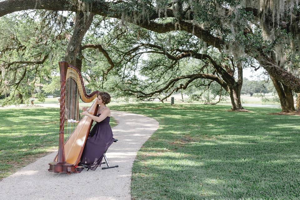 Hope Cowan, harpist