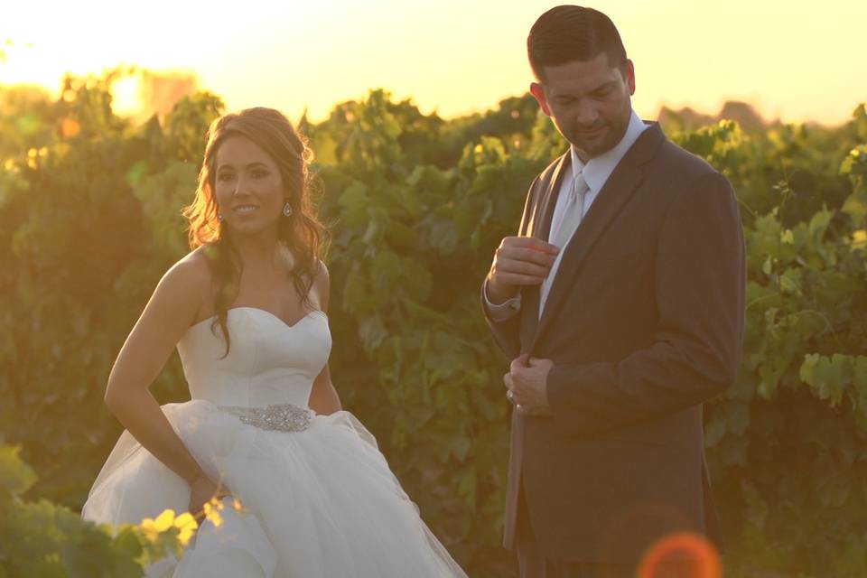 Image pulled from wedding video - Megan & Phillip