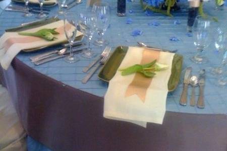 Elegant tablesetting with French blue hydrangea, white peonies, blueberries and white Parrot tulips. Linens include: Periwinkle pintuck, Stone table band and Silver lamour chaircovers.