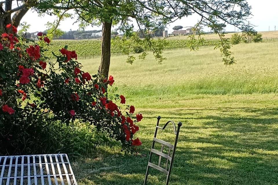 Mediterranea Wedding & Flowers