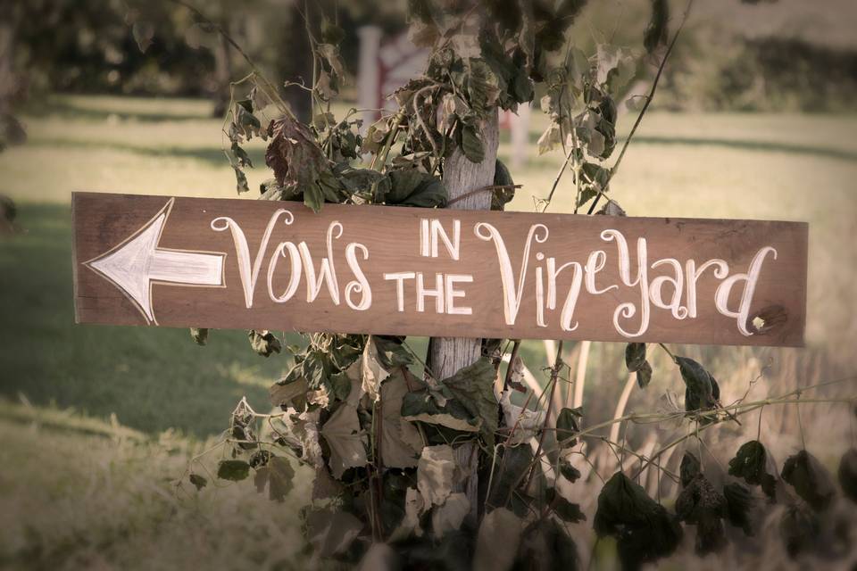 Vows in the Vineyard