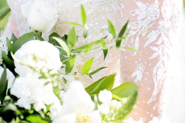 Brooke Tobin Photography