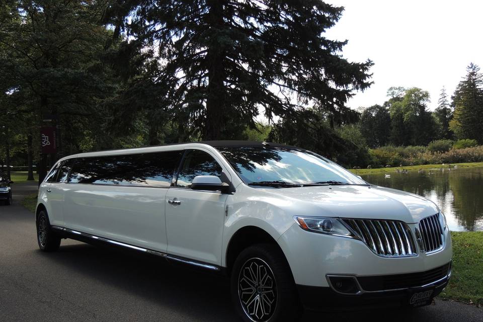 White limo parked