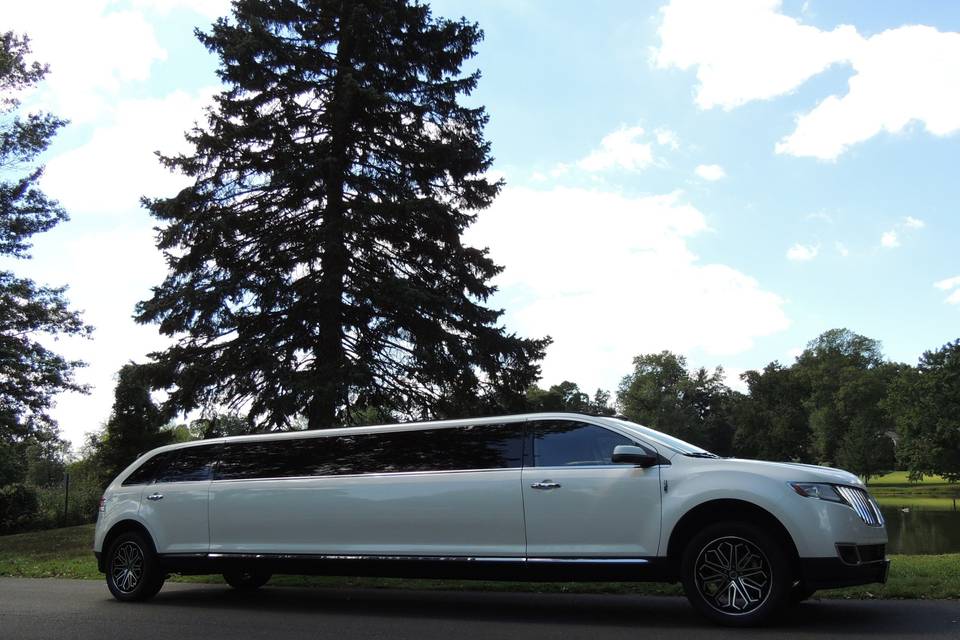 Parked white limo