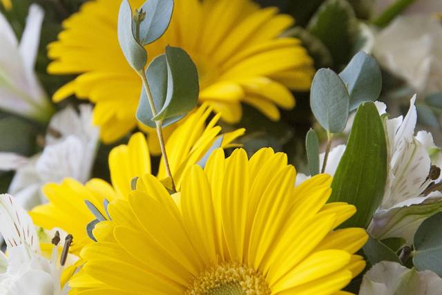 Rachel Seitz Photography