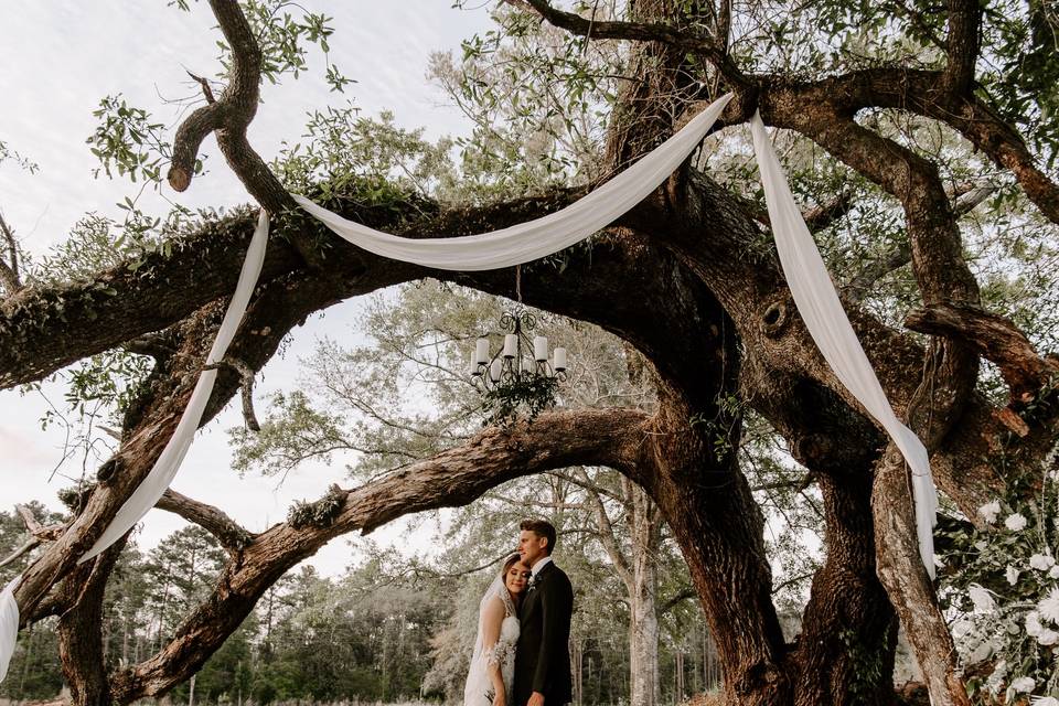 The Majestic Oaks Ceremony