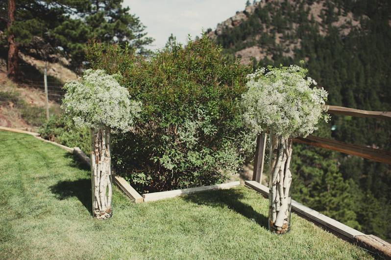 Plum Sage Flowers