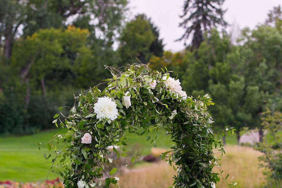 Plum Sage Flowers