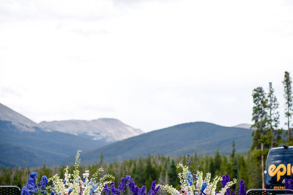 Plum Sage Flowers