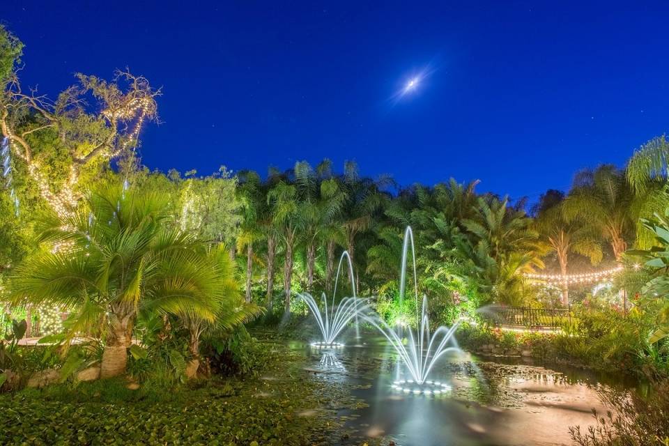 Pond with lighted fountains