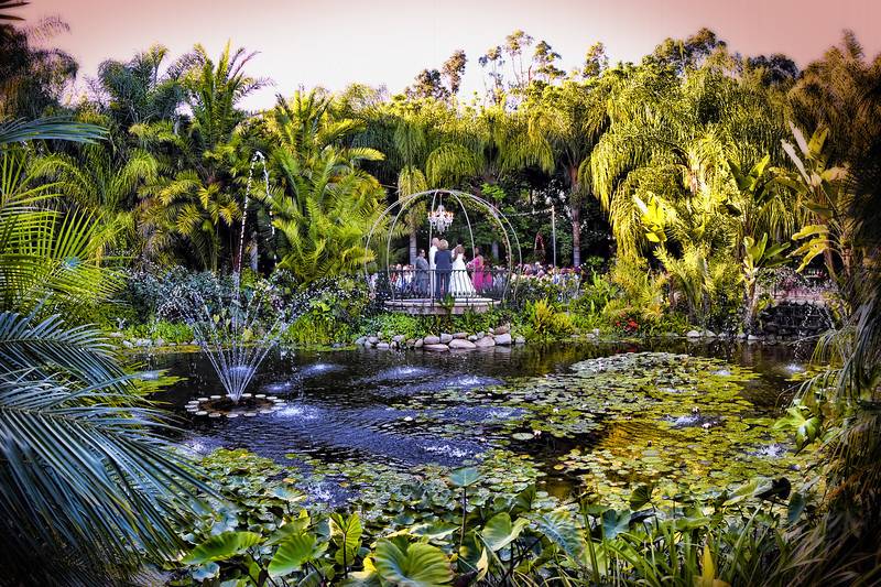 Pond looking at ceremony area