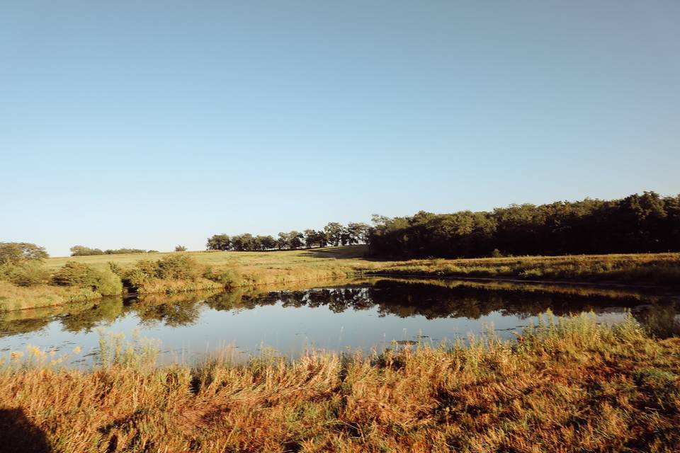 Pond near Venue