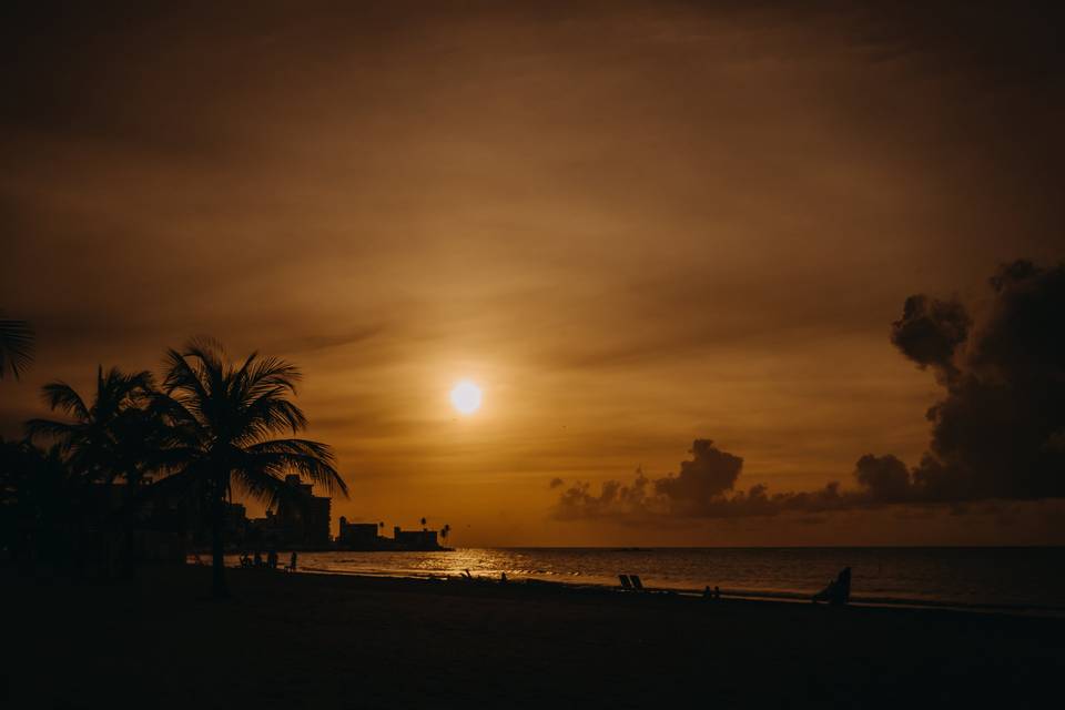 Tropical Weddings