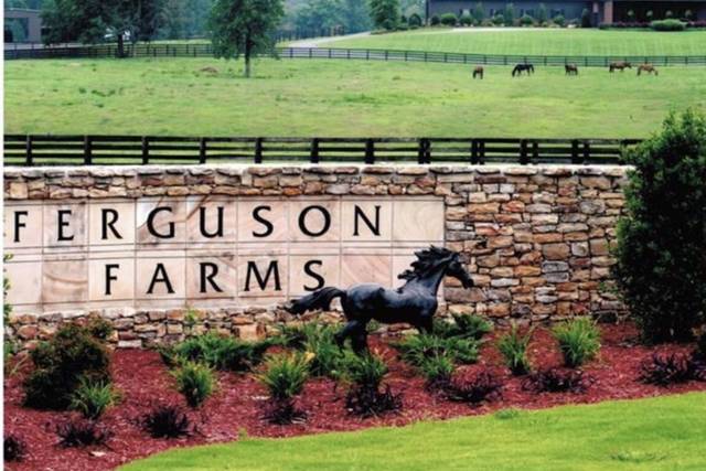 Ferguson Farms LLC
