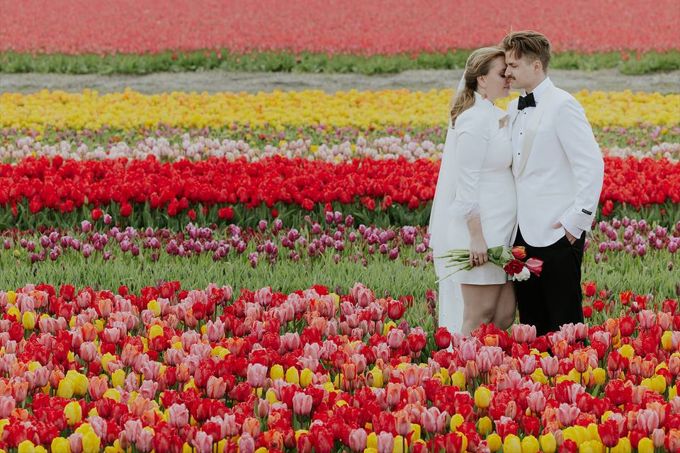 Tulip elopement