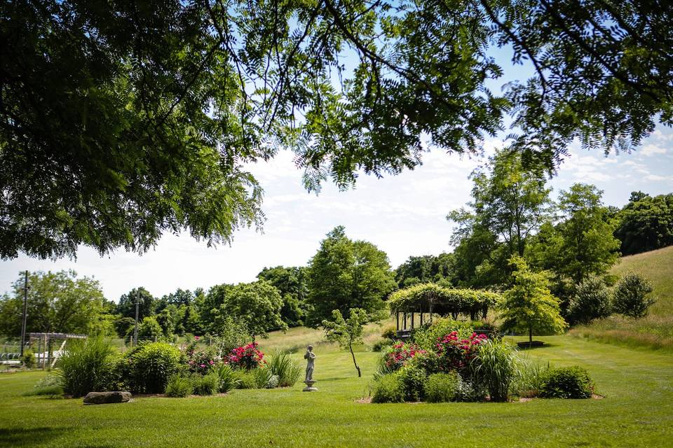 Red Maple Vineyard