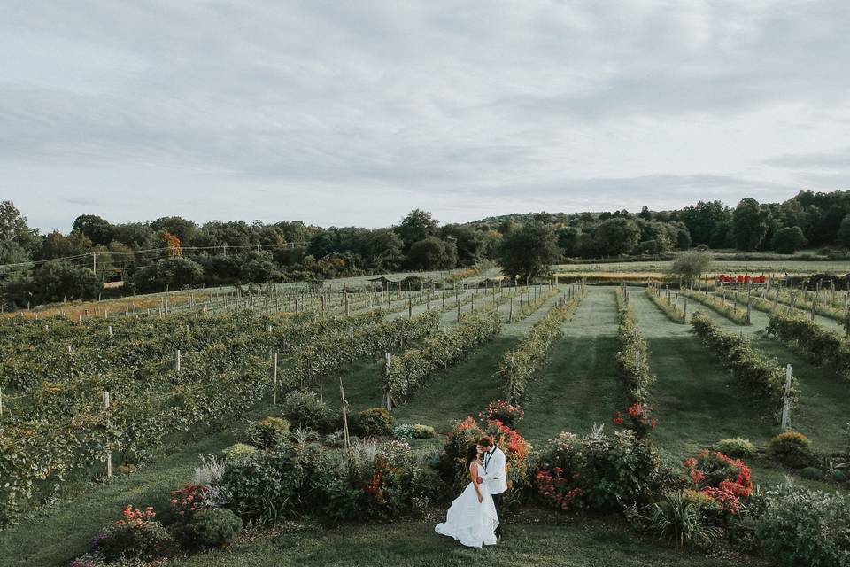 Red Maple Vineyard