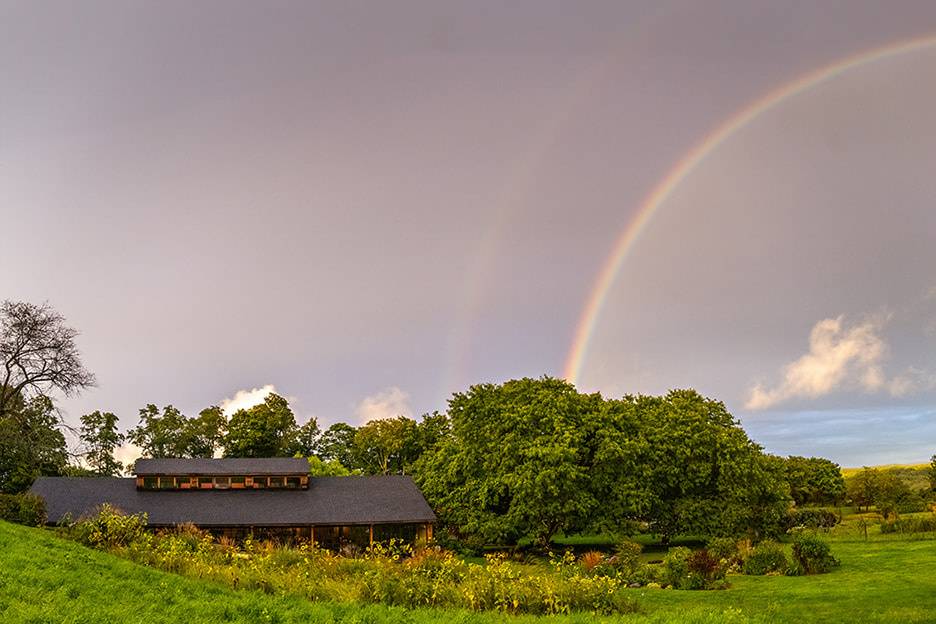 Couple with Rainbow