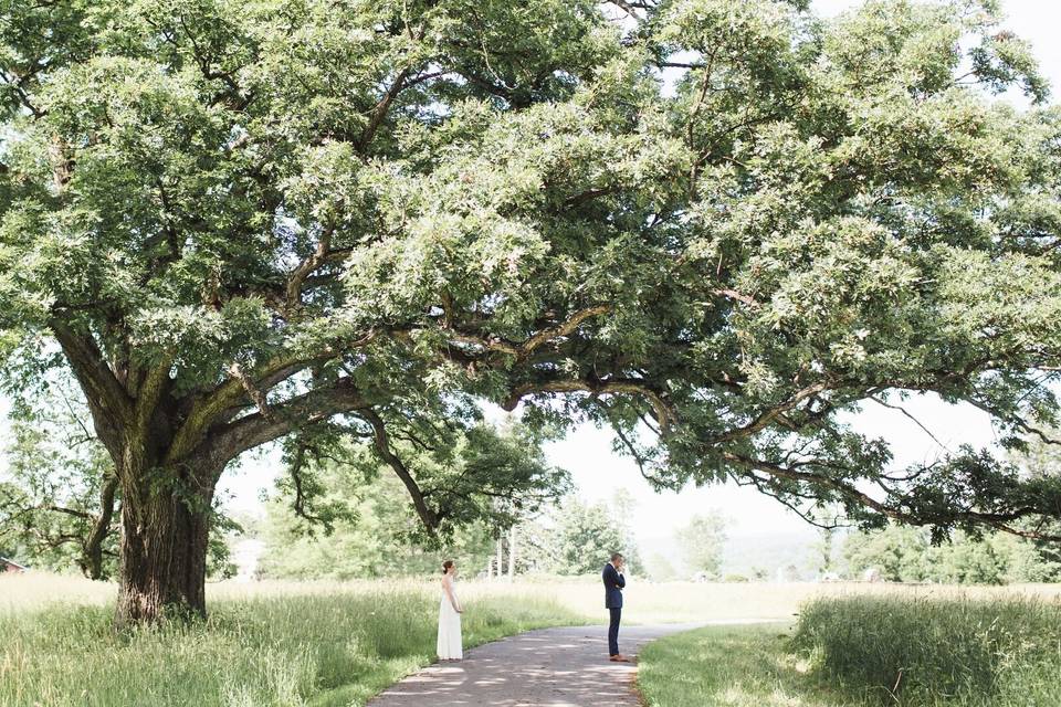 Red Maple Vineyard