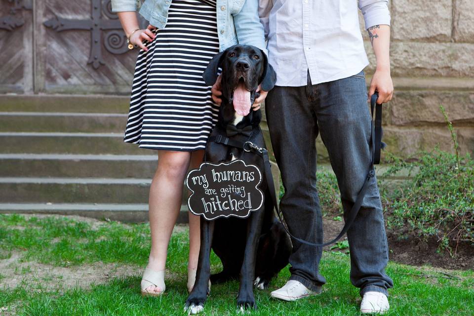 NH/MA Wedding Photographer