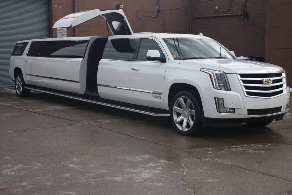 Blue Diamond Limousine Worldwide