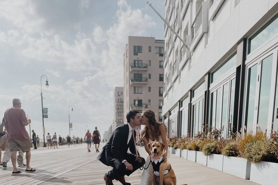 Wedding dog with mom & dad