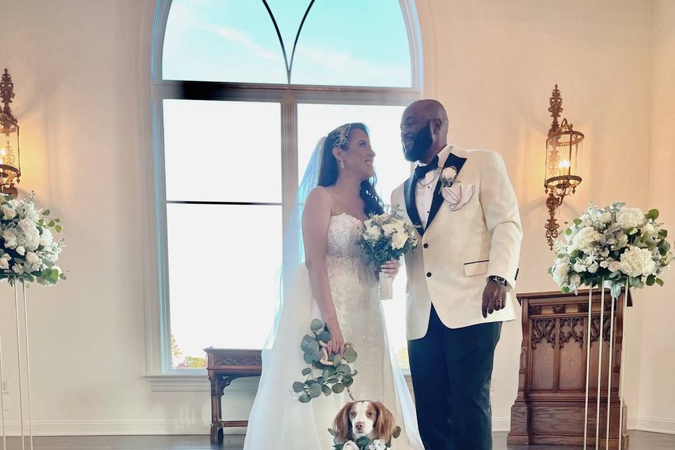 Wedding Ceremony with dogs