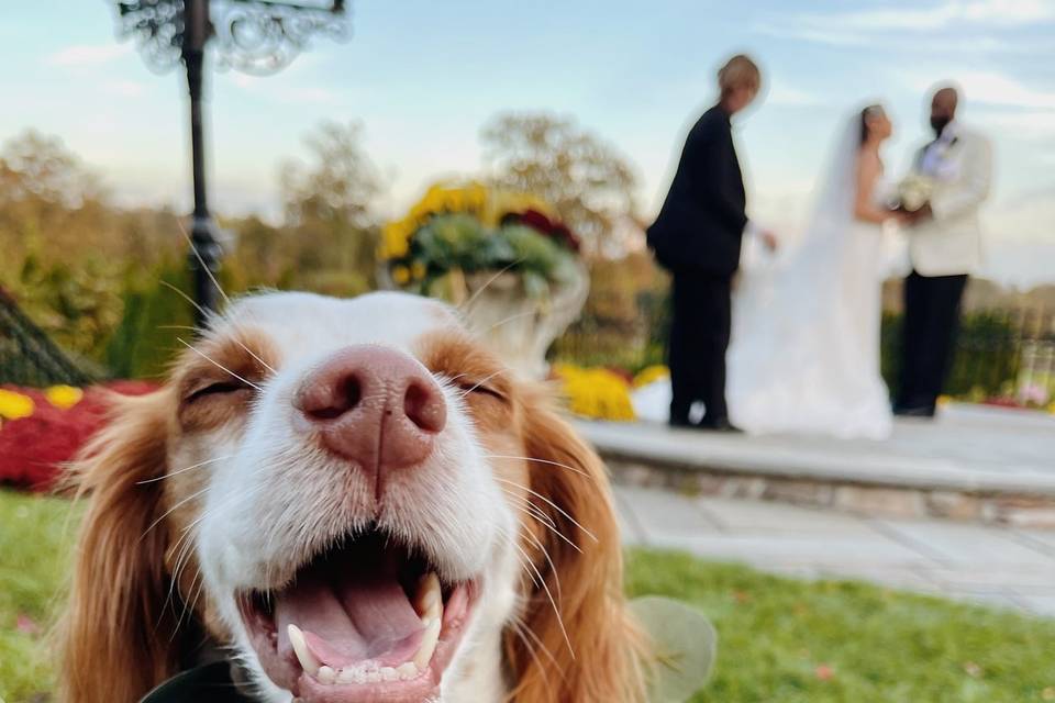 Happy gal at parents wedding