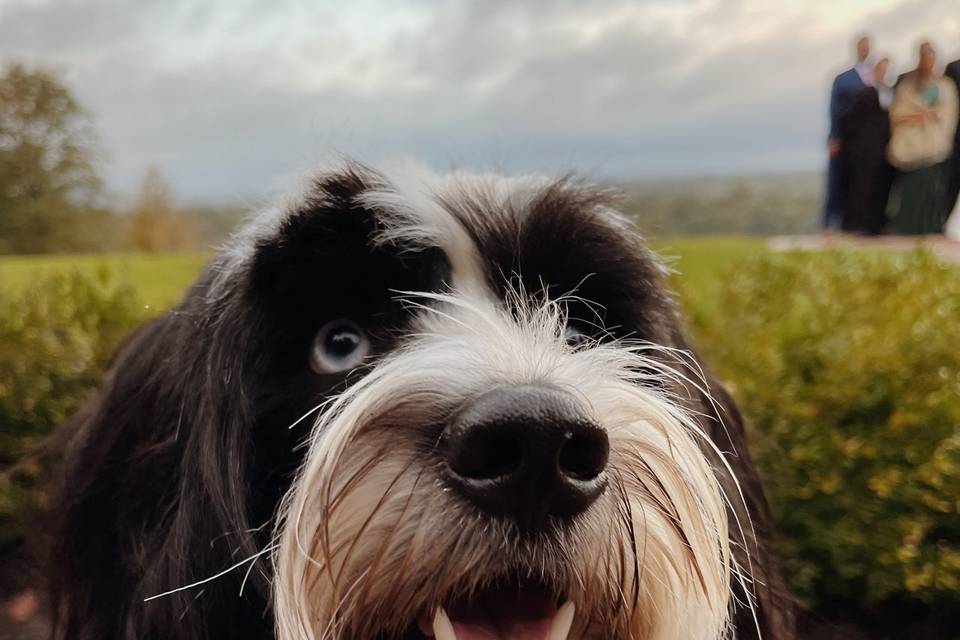 Mookie, smiling boy!