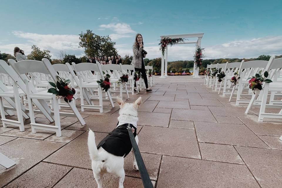 Charlie, Dog of Honor