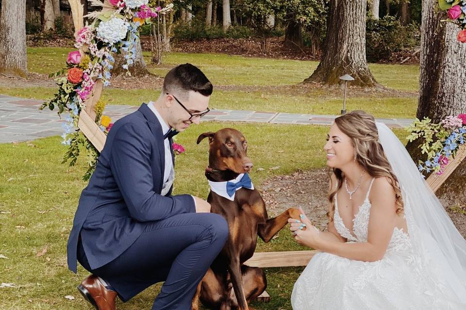 Wedding, dog approved!