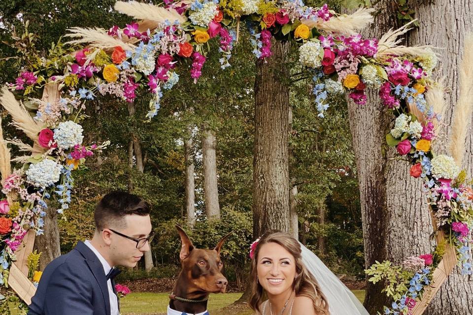 Wedding with a Doberman!