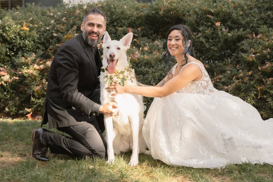 Couple and dog of honor