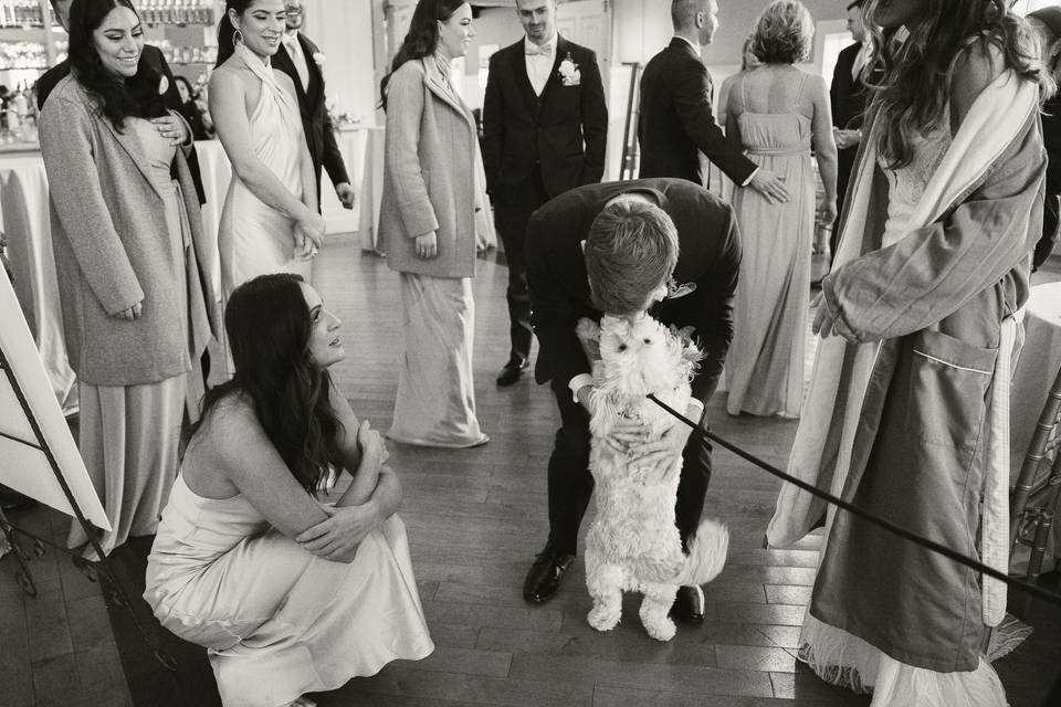 Wedding guest & dog of honor