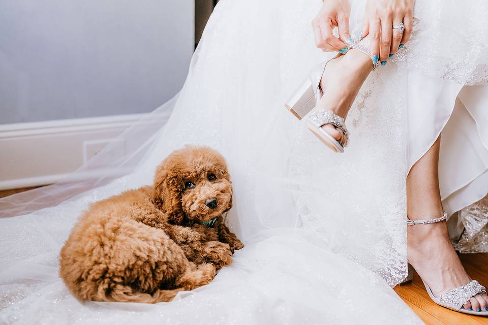 Puppy and mom