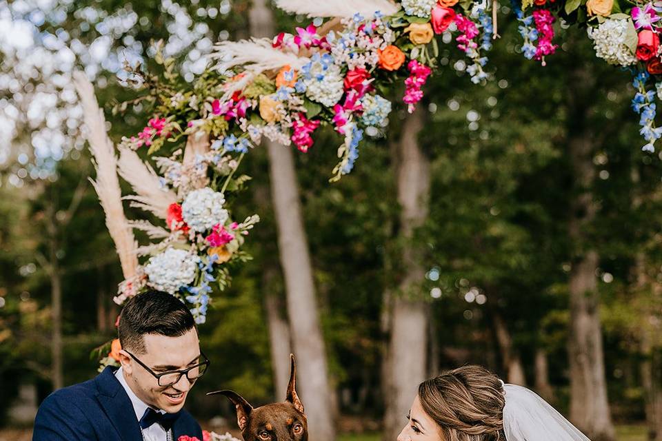 Happy, wedding pup