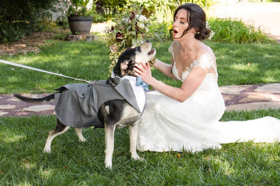 Bride and dog of honor