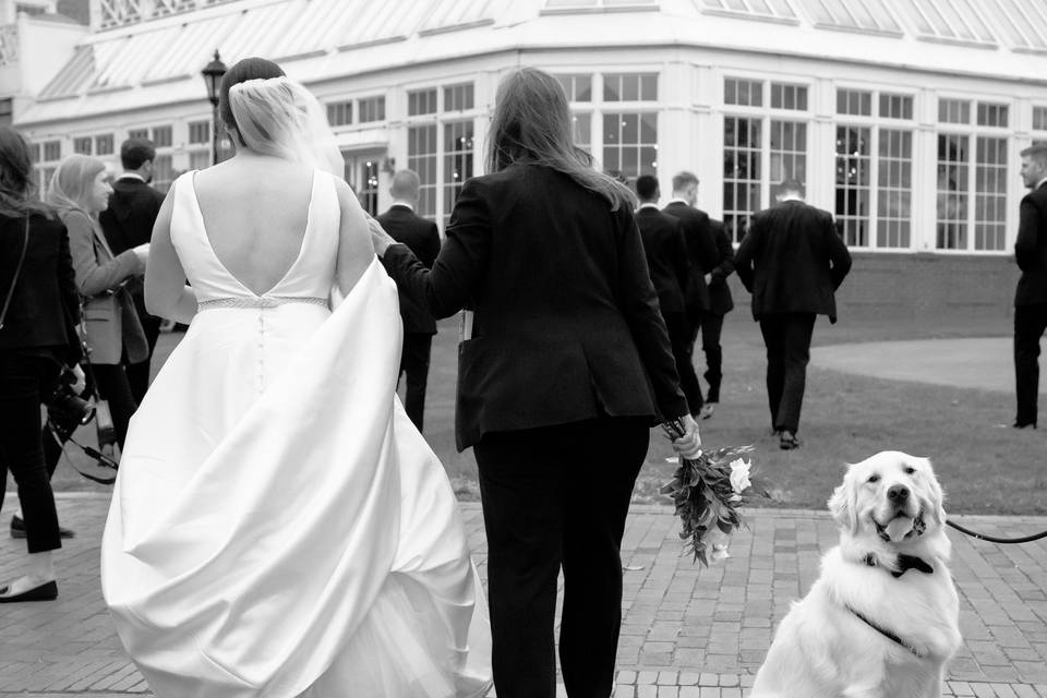 Bride & dog of honor